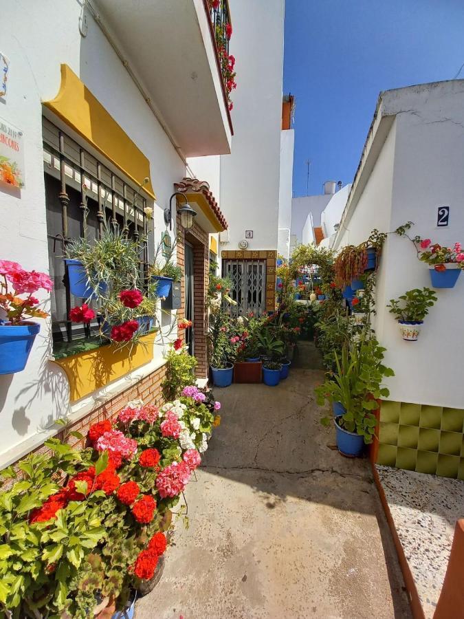 Brand New - Casa El Cuartel With Private Seaview Rooftop Conil De La Frontera Eksteriør billede